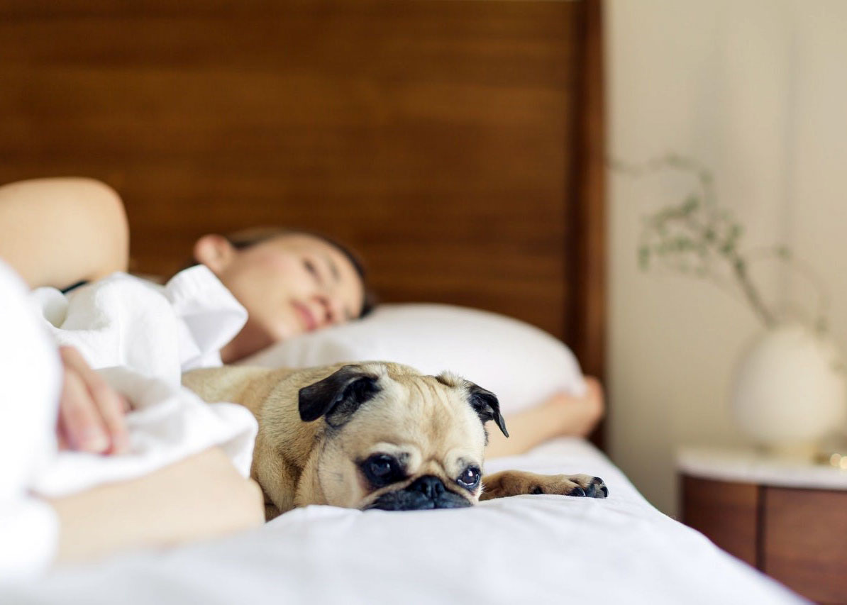 Глубокий сон — действенные советы и одежда для тренировок